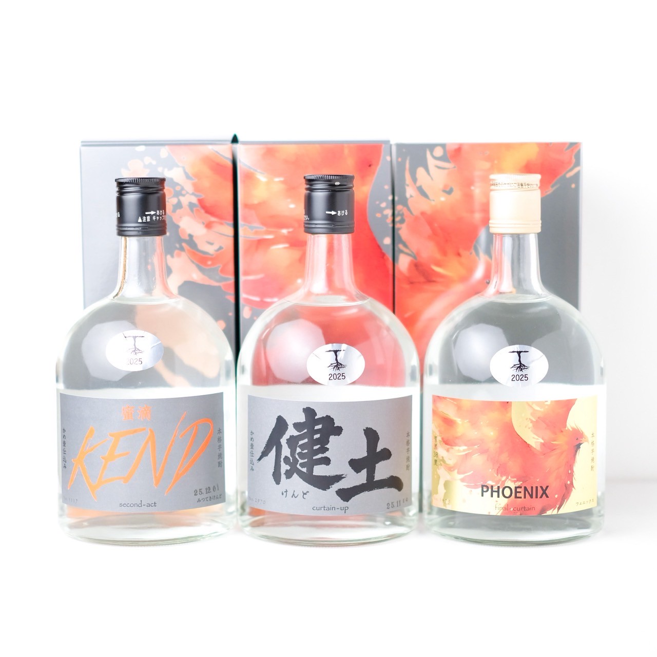 健土 1stボトルセット【通常便】